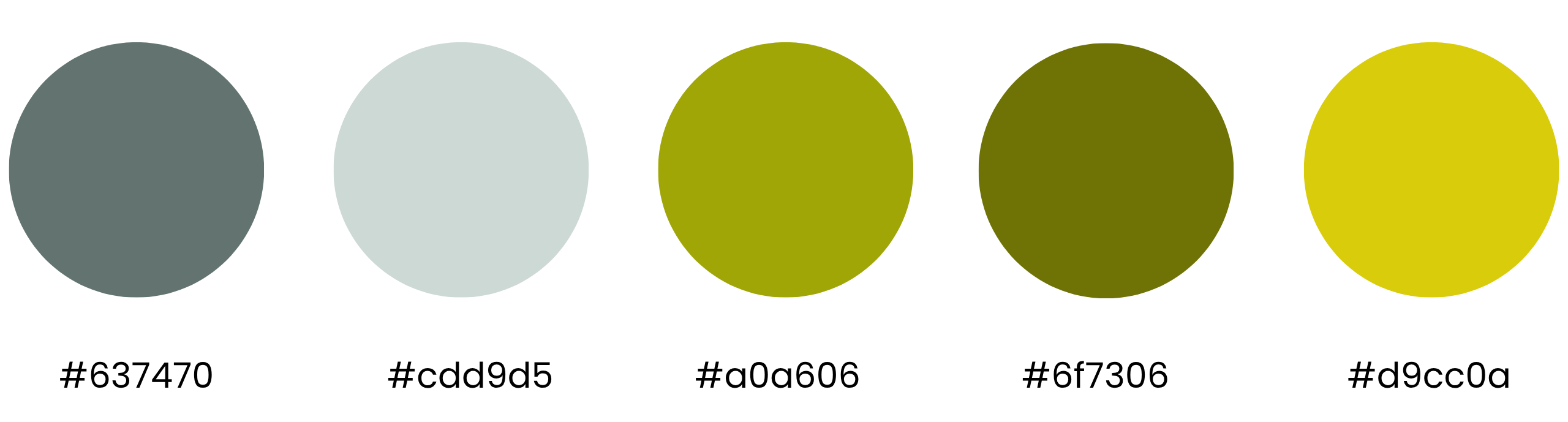 Fitness brand colour palette
